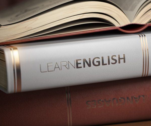 L’importance de l’anglais dans le monde professionnel​