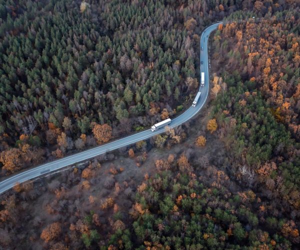 autumn-forest-with-a-curved-road-2021-12-09-21-20-56-utc-2048x1364